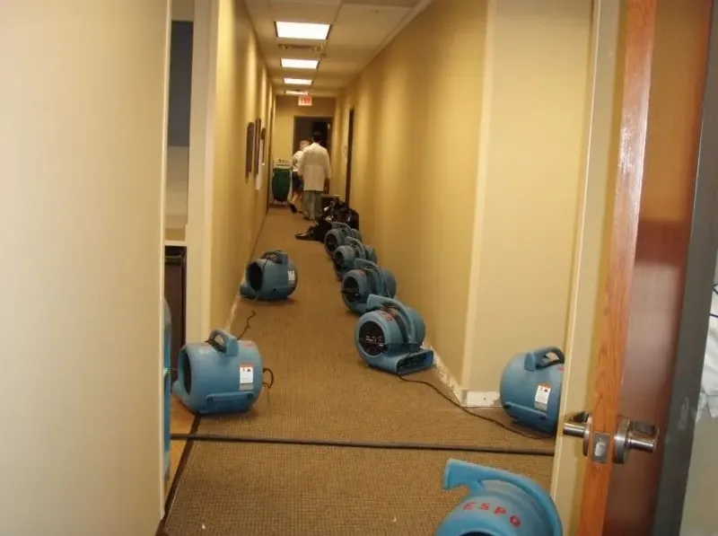 Rows of air movers drying the carpet along a long commercial hallway