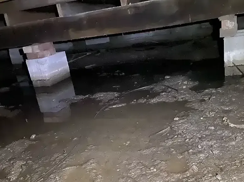 Water pooled on the ground beneath the floor joists in a crawl space