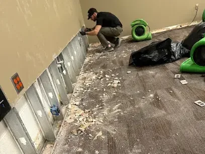 Drywall cut away at the water line while air movers dry the open wall cavities